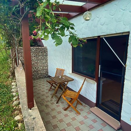 Gemuetliche Wohnung Mit Neckarblick Eberbach  Exterior photo
